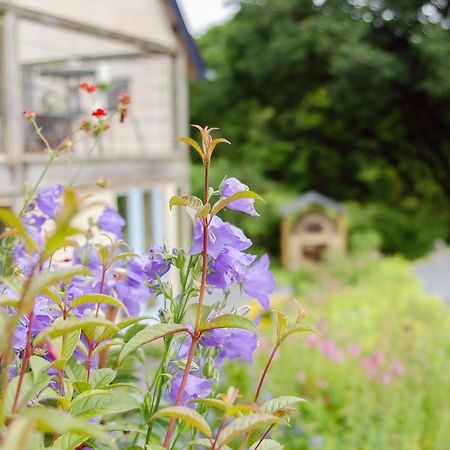 Furzedon B&B Merton  Екстериор снимка